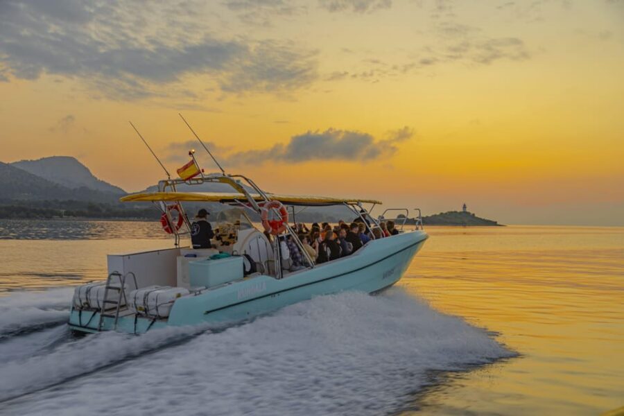 From Alcudia: Sunrise Dolphin Watching Boat Tour - What to bring: warm layers, a camera, and plan for the early air
