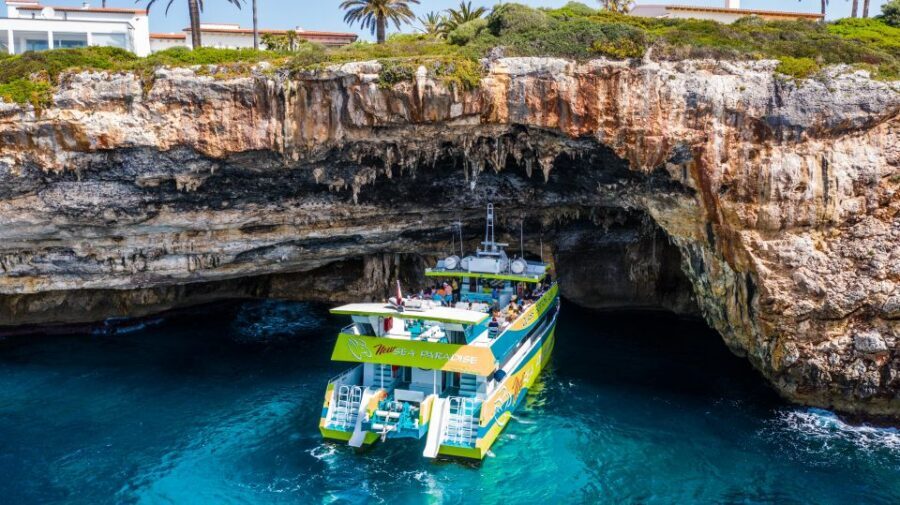 From Cala Bona: East Coast Glass-Bottom Boat Trip - The Real Deal on Glass-Bottom Viewing