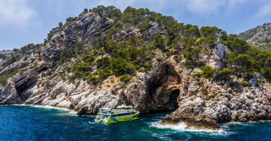 From Cala Ratjada: East Coast Glass-Bottom Boat Trip - Underwater viewing through the glass bottom: when it really pays off