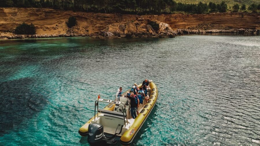 From Can Picafort: Dolphin Watching and Cave Boat Trip - Key Things to Know Before You Go