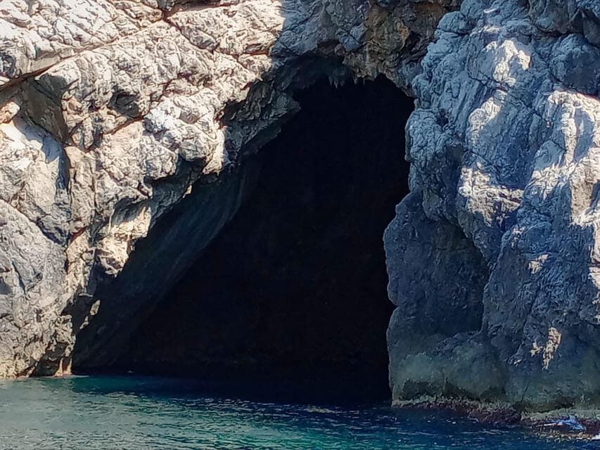 From Can Picafort: Dolphin Watching and Cave Boat Trip - The Es Coll Baix Swim Stop: The Part You’ll Remember
