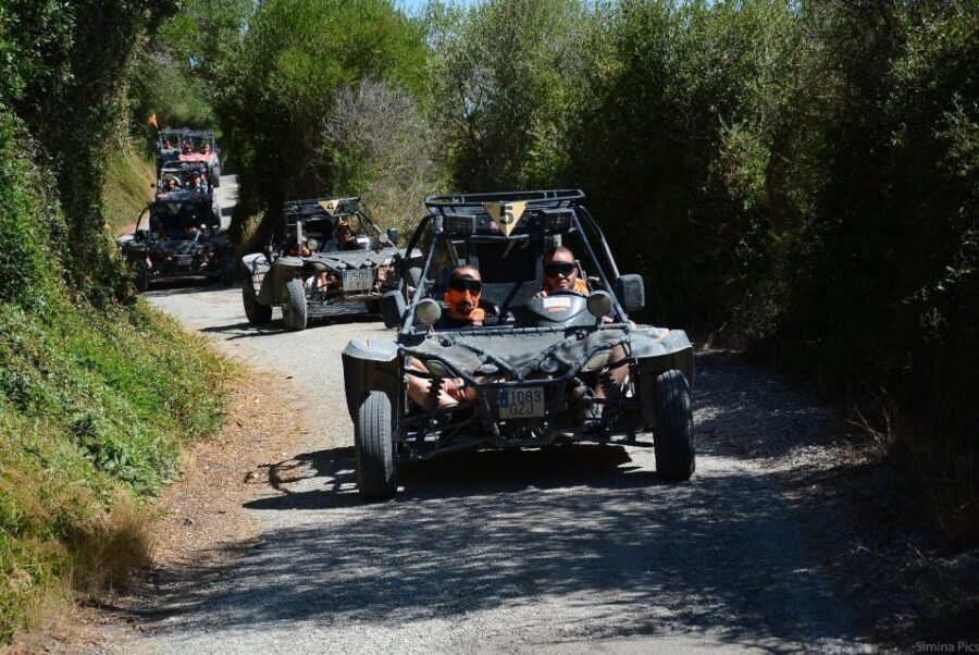From East Mallorca: Guided Beach and Mountain Buggy Tour - Timing and Pickup on the East Coast: How to Not Miss the Van