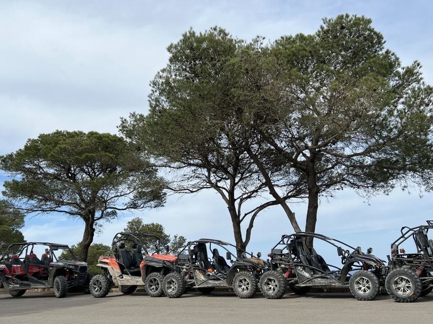From East Mallorca: Guided Beach and Mountain Buggy Tour - What to Pack and Wear for Cala Murada + Road Time