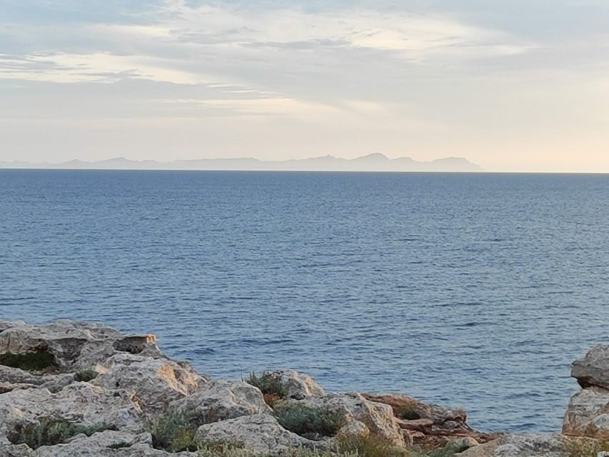 From Mallorca: Guided Day Trip to Menorca - Maó Old Town Tour Plus 2 Hours on Your Own