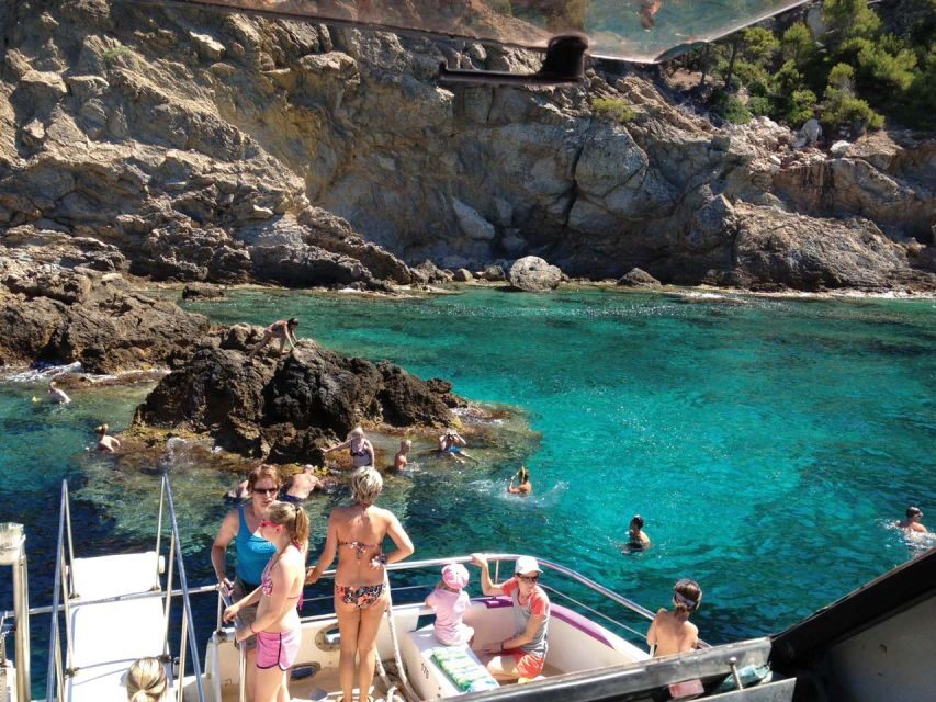 From Palma: 3-Hour Morning Dolphin Watching Boat Tour - The swim cove after dolphins: snorkeling gear and realistic timing