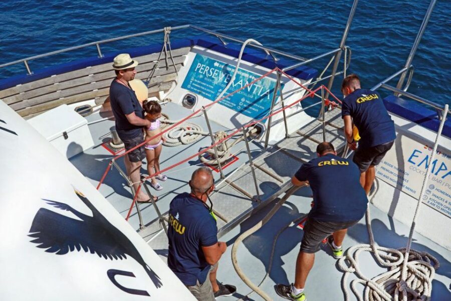 From Palma: 3-Hour Morning Dolphin Watching Boat Tour - Price and value: what $63 buys you in real terms