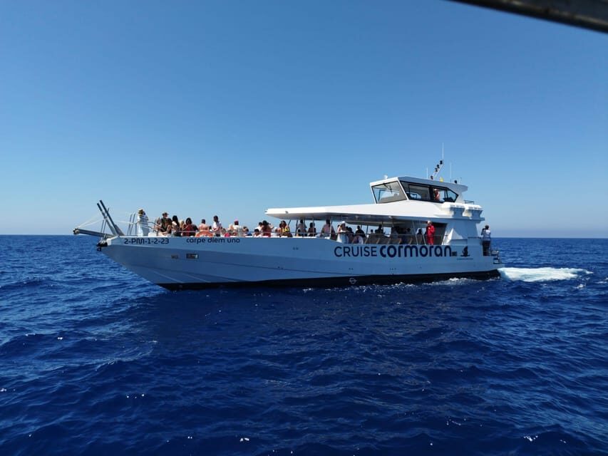 From Palma: 3-Hour Morning Dolphin Watching Boat Tour - How the dolphin watching works off Mallorca’s southwest coast