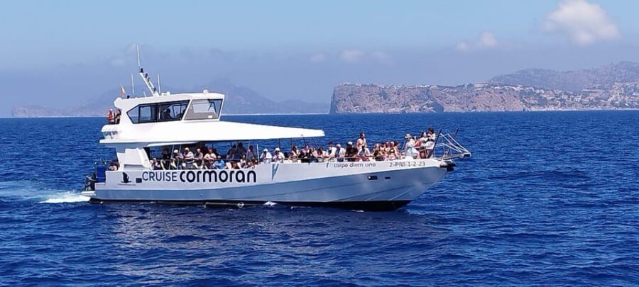 From Palma: Afternoon Dolphin-Watching Boat Tour - Quick hits before you go