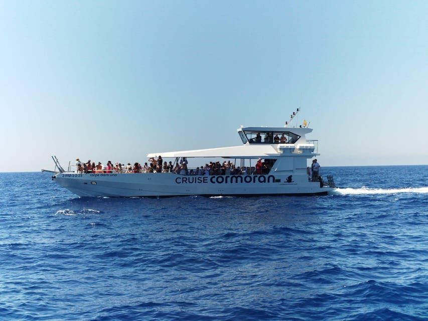 From Palma: Afternoon Dolphin-Watching Boat Tour - Palma Afternoon Dolphin Cruise: the 3-hour ride and what you do with it