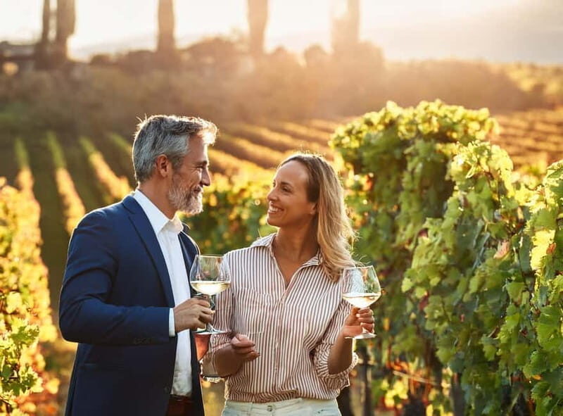 From Palma de Mallorca: Private Wine and Local Flavors Tour - Why the Palma-to-winery setup feels easy