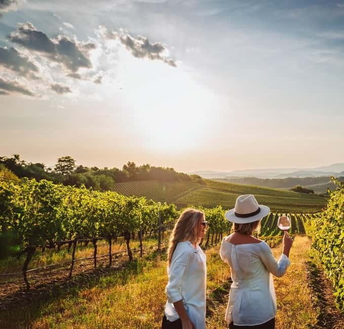 From Palma de Mallorca: Private Wine and Local Flavors Tour - The vineyard and winery tour: what you’re really seeing