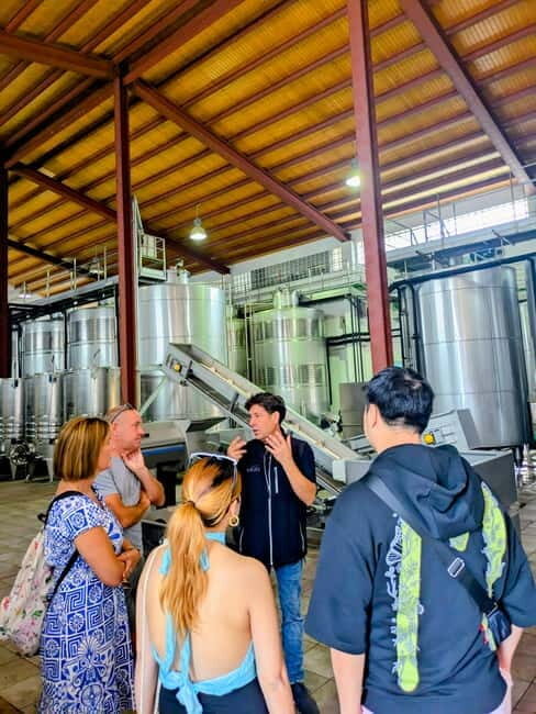 From Palma de Mallorca: Private Wine and Local Flavors Tour - Those extra tasting options: what to add if you want more food