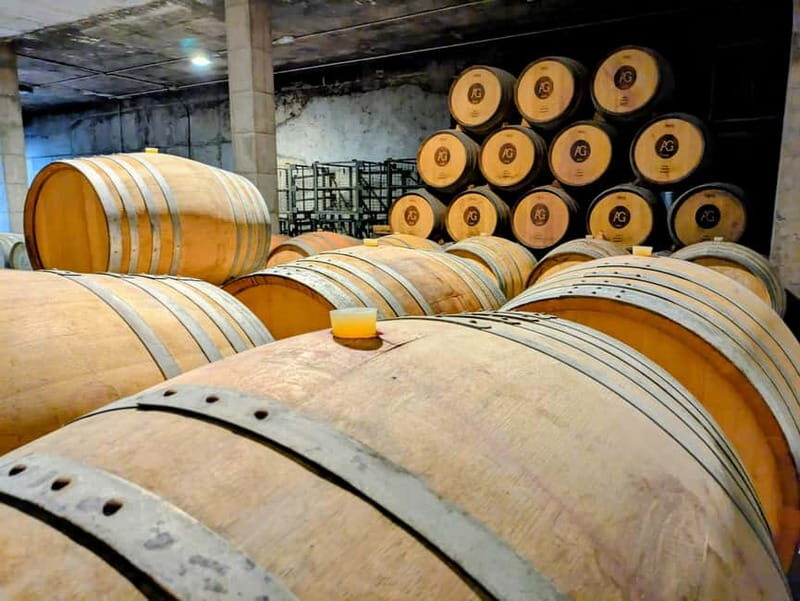 From Palma de Mallorca: Private Wine and Local Flavors Tour - Meeting at Centro de Salud La Casa Del Mar: the practical starting line