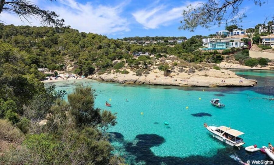 From Palma: Portal Vells Beach and Cave SUP & Snorkel Tour - Getting to Portal Vells from Palma: the van part that matters