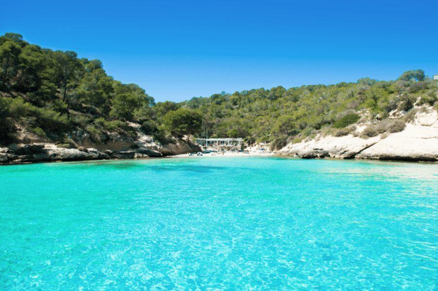 From Palma: Portal Vells Beach and Cave SUP & Snorkel Tour - Cova de Portals Vells: optional cave leap and guided cave stop