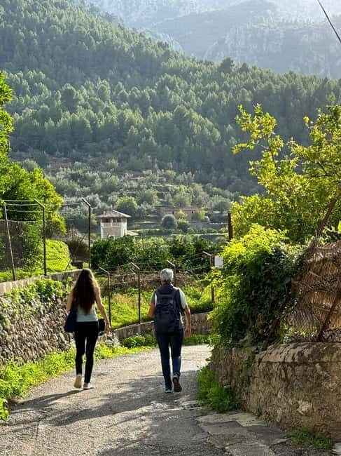 From Palma: Sierra de Tramuntana Hiking with small Picnic - Key things I’d mark on your shortlist