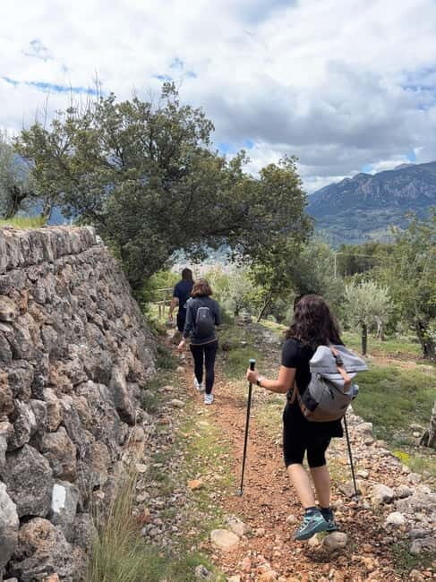 From Palma: Sierra de Tramuntana Hiking with small Picnic - Sierra de Tramuntana: What “UNESCO-protected” looks like in real time