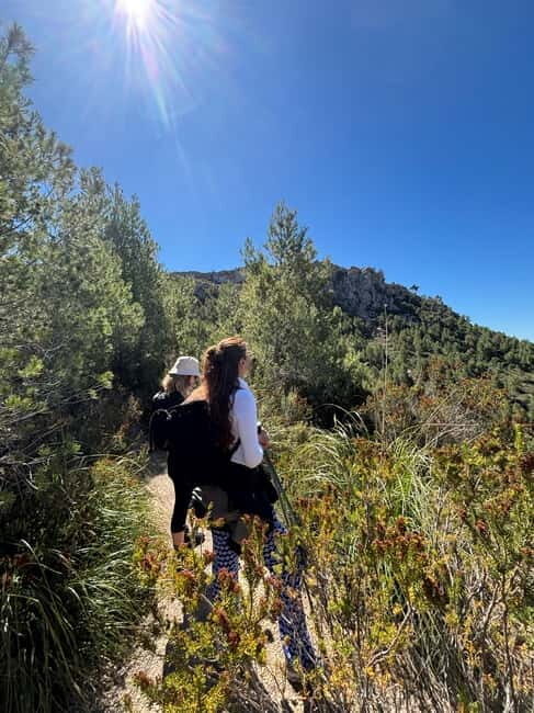 From Palma: Sierra de Tramuntana Hiking with small Picnic - How the guide chooses your route (and why it’s not just luck)