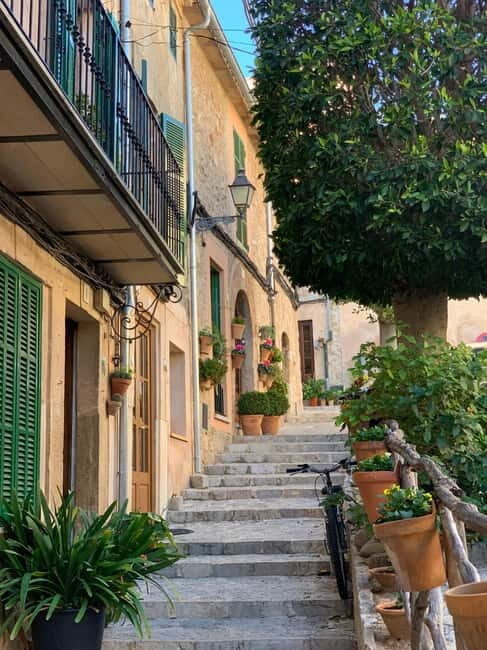 From Palma: Valldemossa Tour and Mountain Viewpoint Hike - Key things I’d watch for on this Valldemossa hike