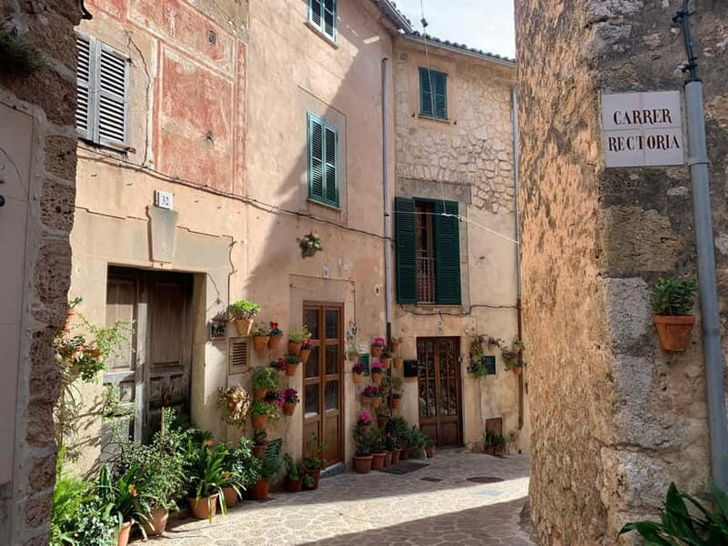 From Palma: Valldemossa Tour and Mountain Viewpoint Hike - A Quick Planning Checklist Before You Go