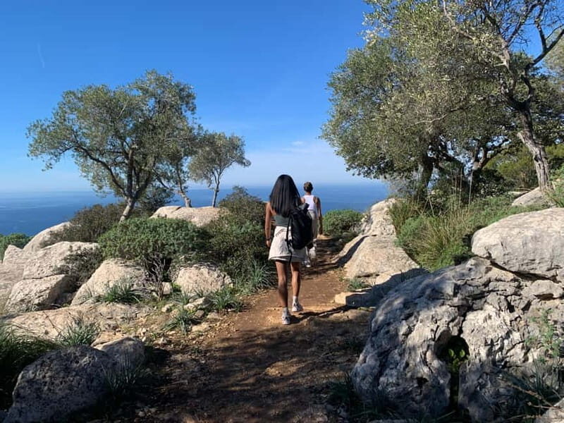 From Palma: Valldemossa Tour and Mountain Viewpoint Hike - Why Valldemossa Feels Like a Different Mallorca