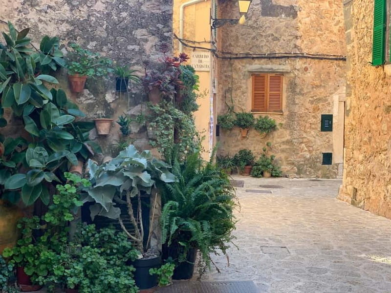 From Palma: Valldemossa Tour and Mountain Viewpoint Hike - The Easy Mountain Walk: 5 km of Sea and Olive Views