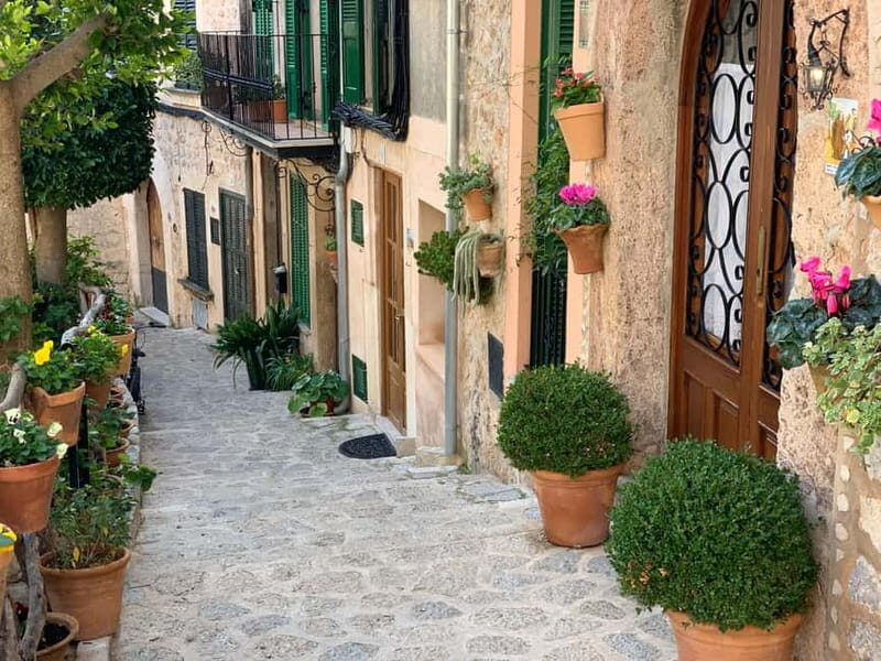 From Palma: Valldemossa Tour and Mountain Viewpoint Hike - Coca de Patata and Water: Small Inclusions, Real Momentum
