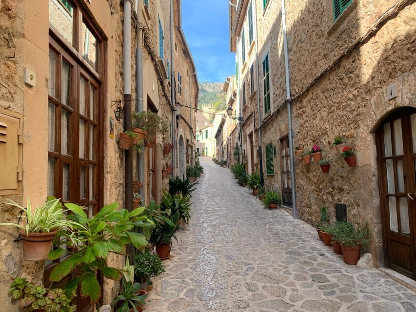 From Palma: Valldemossa Tour and Mountain Viewpoint Hike - Price and Value: Why $105 Can Make Sense Here