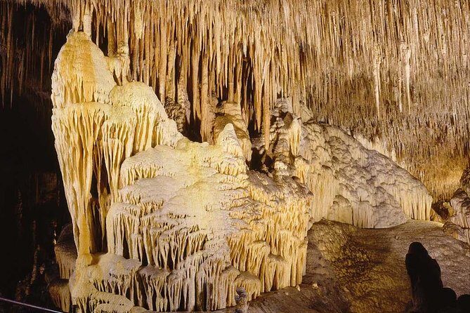 Full-Day Mallorca Caves Tour: Drach, Hams & Pearl Factory Visit - Price and value: what you’re really paying for at $94.91