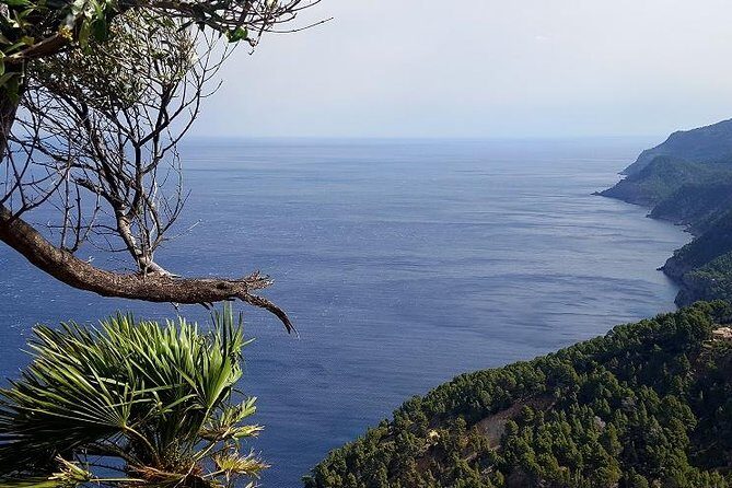 Full-Day Mallorca Caves Tour: Drach, Hams & Pearl Factory Visit - Who should book this Mallorca caves tour?