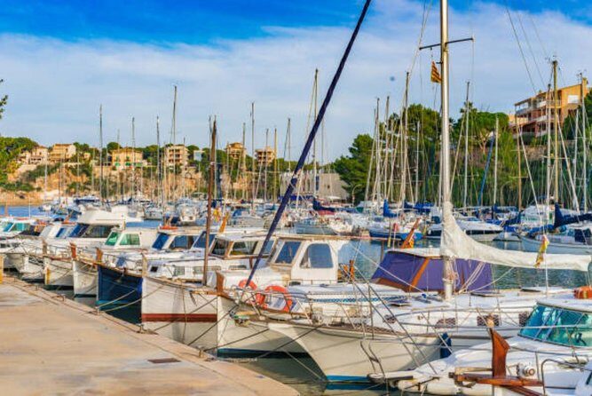 Full-day Tour to Drach Caves and Portocristo Town - Time, group size, and value: does $75.63 make sense?