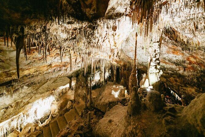 Full-day Tour to Drach Caves and Portocristo Town - Who should book this Drach and Porto Cristo day?
