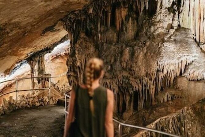Full-day Tour to Drach Caves and Portocristo Town - Porto Cristo: a laid-back harbor town with real walking time