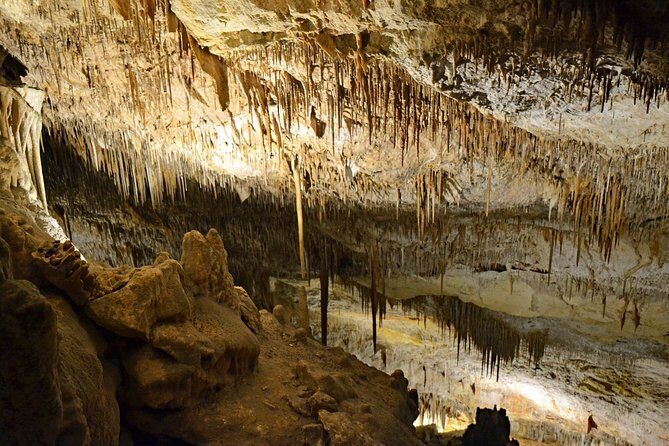 Full day tour to the Caves of Drach and Caves of Hams in Mallorca - Porto Cristo free time: harbor stroll and a swim option