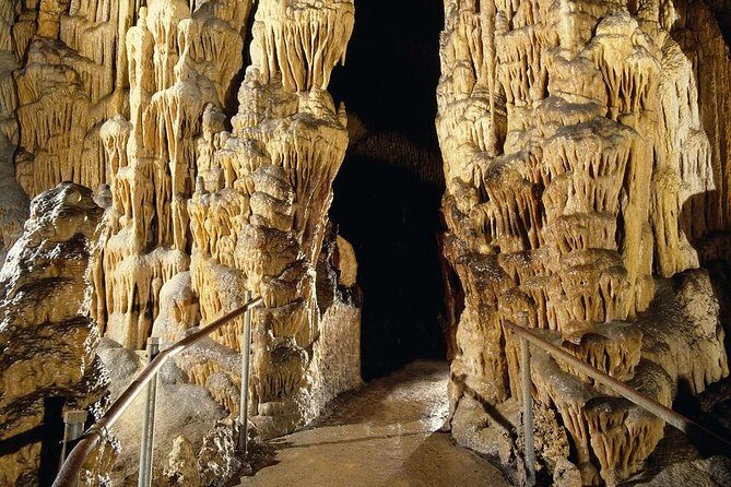 Full day tour to the Caves of Drach and Caves of Hams in Mallorca - Comfort, timing, and who should consider a different plan