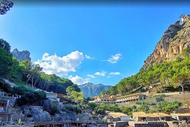 Full Day Tour to the Island of Mallorca - El Tren de Sóller: the wooden electric train experience