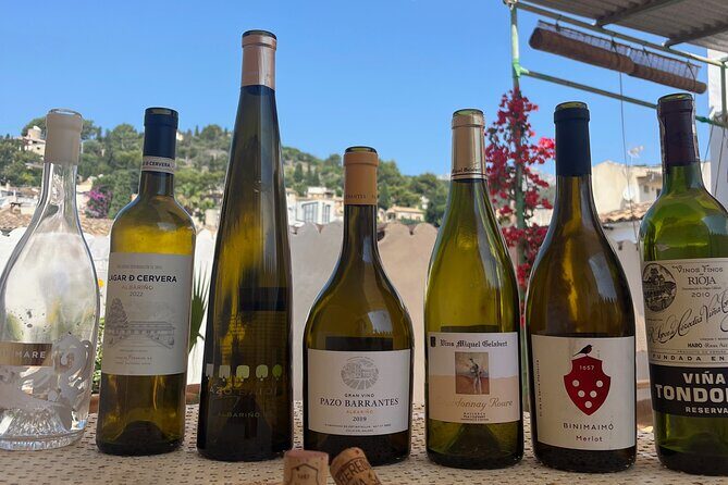 Gastronomic Wine Tasting Experience Guided by a Sommelier - Price and Value: Is $102.41 Worth It?