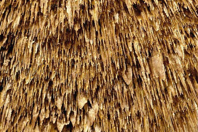 Guided Full-Day Tour of Drach Caves, Porto Cristo & Pearl Factory - What the full-day flow feels like (and why people get grumpy)