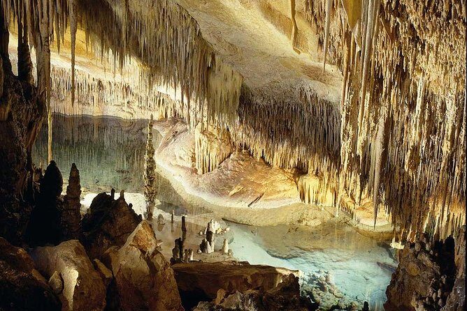 Guided Full-Day Tour of Drach Caves, Porto Cristo & Pearl Factory - Cuevas del Drach: the 1-hour route, the concert, and the Lake Martel boat