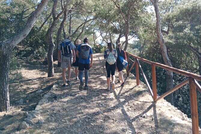 Guided Kayak & Hike from Sant Elm to Sa Dragonera - The Return Paddle: Same Route, Different Feeling