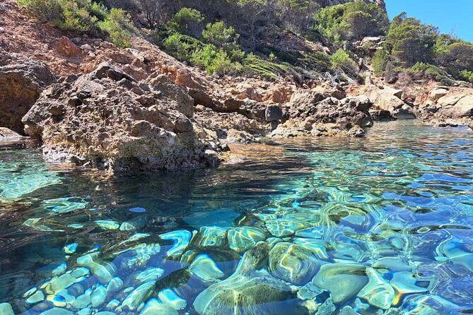 Guided Kayak Tour from Sant Elm to Sa Dragonera - Beginner-friendly kayaking: what you’ll feel (and what you won’t)