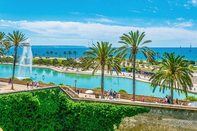 Guided Route through Palma with Cathedral and visit to Valldemossa (4H) - Views Over the Bay: Where the Route Helps You See Better