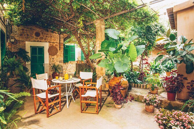 Guided Tasting Tour in 16th century House and Olive Oil Factory - The Hour-Long Itinerary in Sóller: How It Fits Your Day