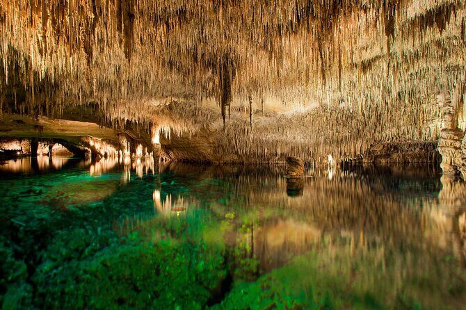 Half Day Tour Bus to the Caves of Drach - Key highlights before you go