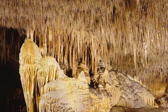 Half Day Tour Bus to the Caves of Drach - The underground concert on Martel Lake: the part people remember