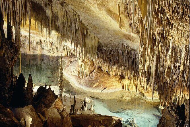 Half Day Tour Bus to the Caves of Drach - Service, comfort, and what to bring (so you enjoy it more)