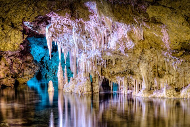Half Day Tour to Dinosaur Land in Mallorca - Key things to know before you go