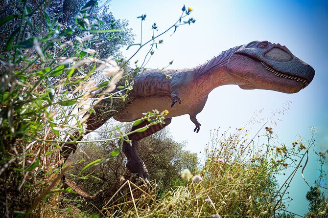 Half Day Tour to Dinosaur Land in Mallorca - Family-friendly details that help the day work
