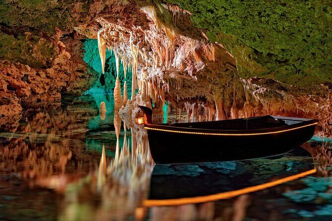 Half Day Tour to Dinosaur Land in Mallorca - Who this tour fits best (and who might want something else)