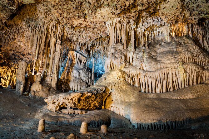 Half Day Tour to Dinosaur Land in Mallorca - Should you book the Half Day Dinosaur Land and Caves tour?